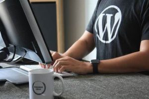 WordPress 自定义查询 WP_Query所有参数详细注释-主题美化网