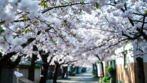 图片分享-主题美化网