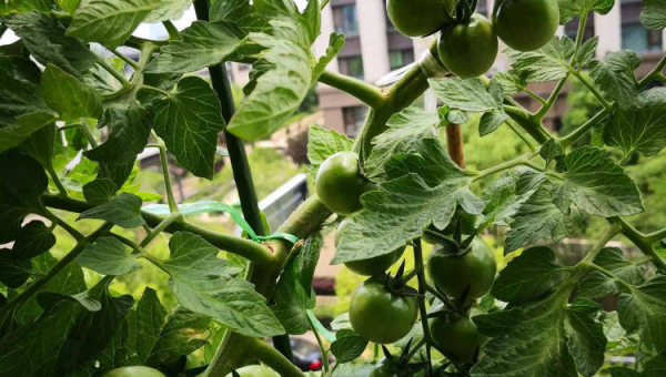 下雨天能否查看家里的风水?-主题美化网