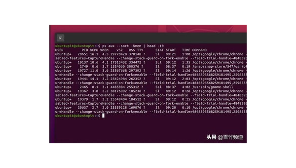 Linux 中如何查看和管理 CPU 使用情况-主题美化网