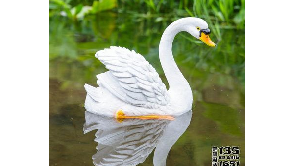 院子里养天鹅的风水讲究-主题美化网