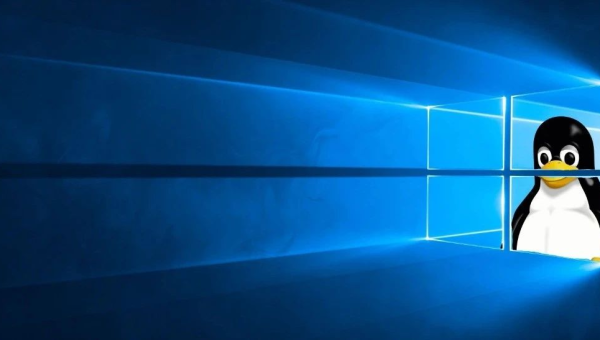 linux和windows软件一样吗