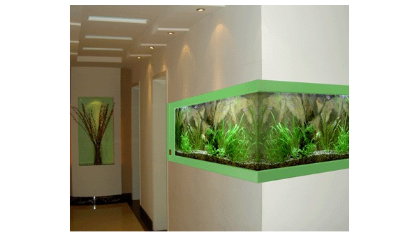 客厅放置龙鱼缸对风水好吗?-主题美化网