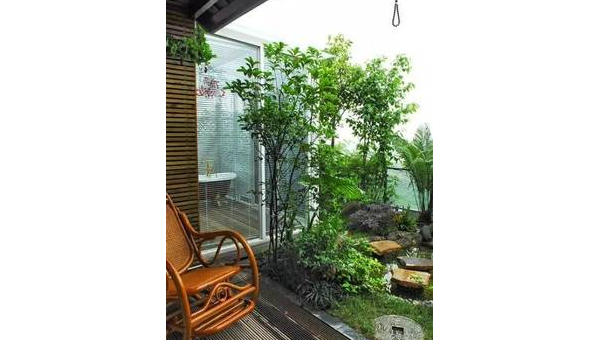 院子里种植梅树的风水好处-主题美化网