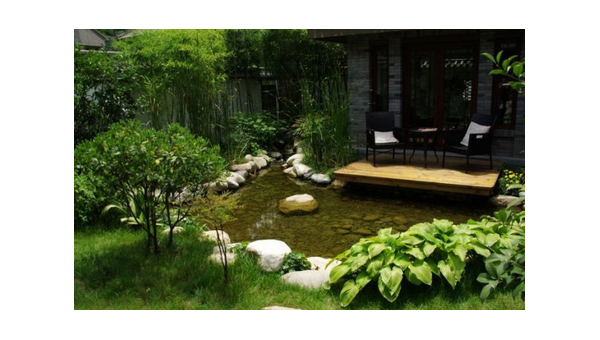 院子里种芙蓉花风水怎样-主题美化网