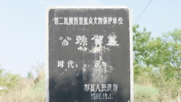 Linux 中如何安装和使用 Perl 开发环境-主题美化网