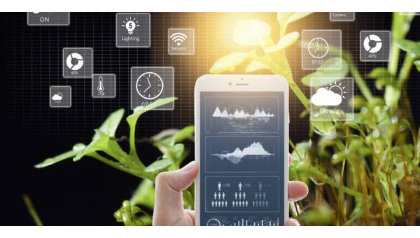 农业物联网平台：轻量级 IDE 与传感器数据处理工具链-主题美化网