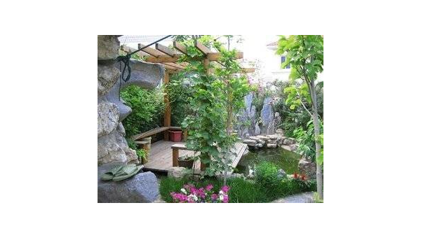 庭院里种石榴树风水好吗-主题美化网