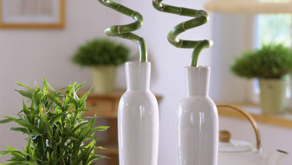 客厅摆放落地灯的风水宜忌-主题美化网