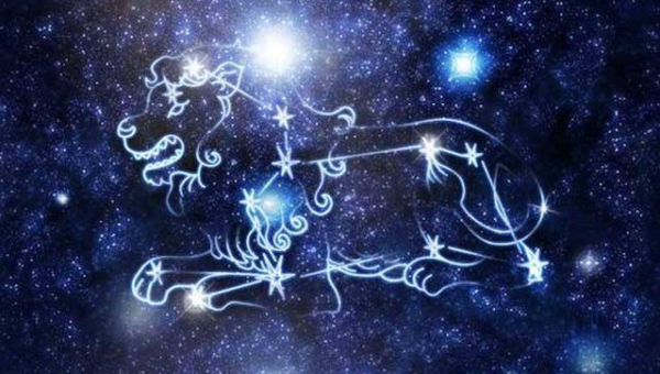 狮子座在职场中如何展现领导力?-主题美化网