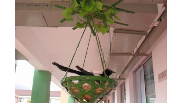 家中摆放风铃的风水作用-主题美化网