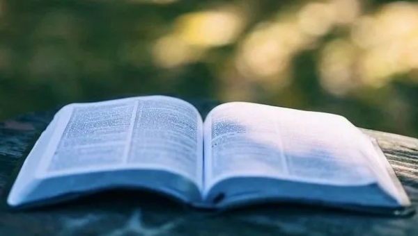 网站优化秘籍之文章标题优化：吸引流量密码-主题美化网