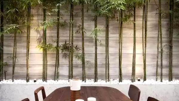 院子里种植竹子的风水好处-主题美化网