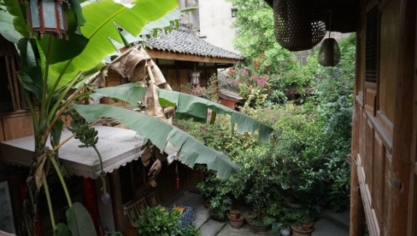 院子里种植李树的风水好处-主题美化网