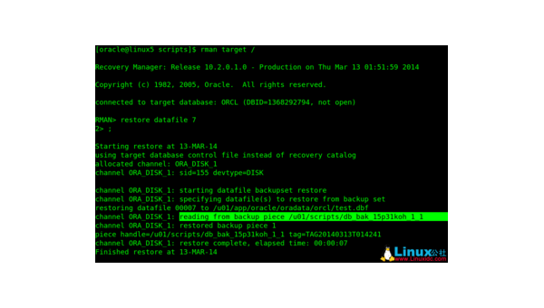 Linux 中如何快速备份和恢复重要数据-主题美化网