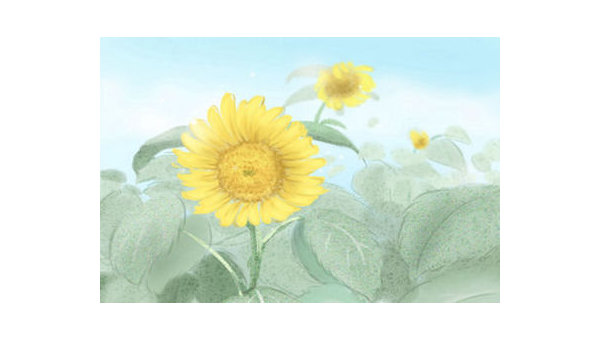 阳台种植石榴花的北方风水探讨-主题美化网