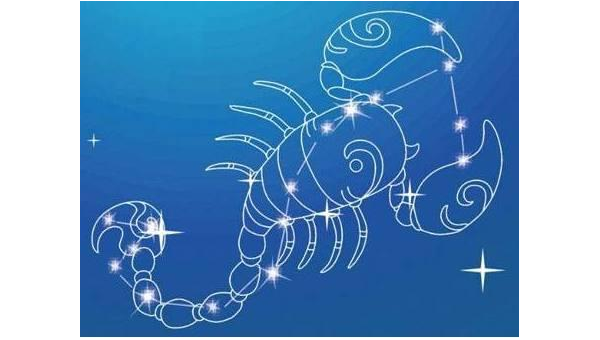 如何看待天蝎座在秘密保守中的坚定-主题美化网