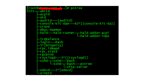 Linux 中通过 PID 查找进程的命令详解-主题美化网