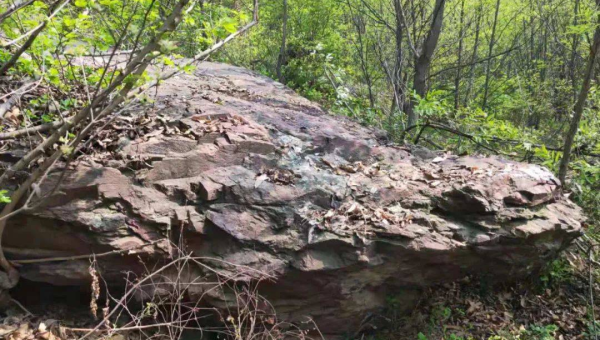 住宅西北方有个信号塔风水好不好-主题美化网