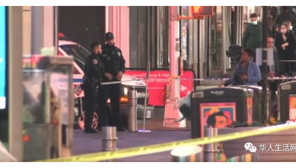 标题优化趋势：紧跟时代步伐提升网站曝光-主题美化网