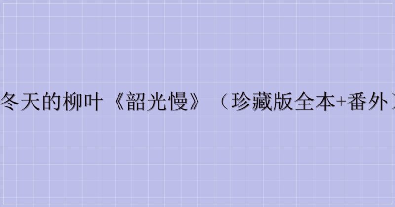 冬天的柳叶《韶光慢》（珍藏版全本+番外）-主题美化网